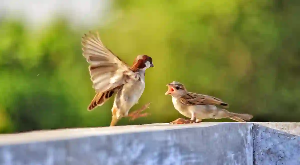 Read more about the article इनाम का चस्का